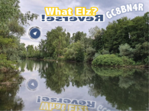 What Elz? Reverse!