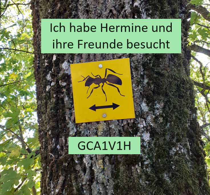 HuiF Hermine Bonus