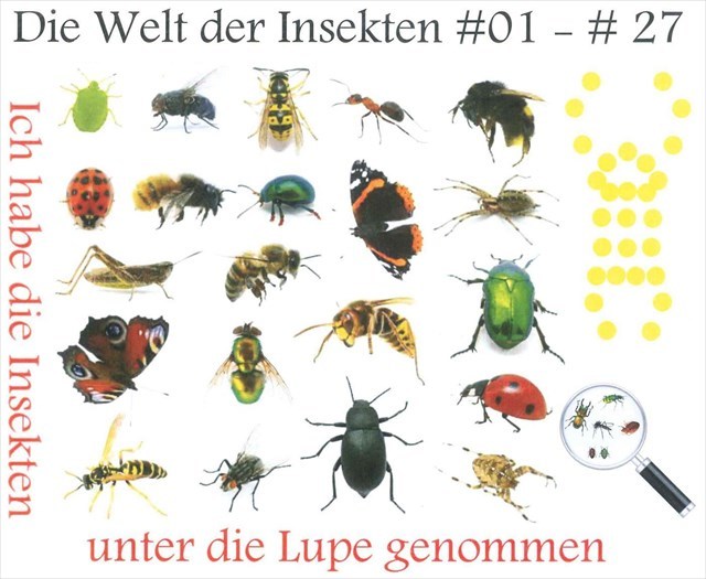 Die Welt der Insekten #27