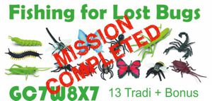 Fishing for Lost Bugs - Insektensammler