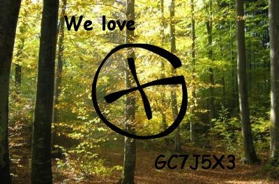 #30 Bonus We love