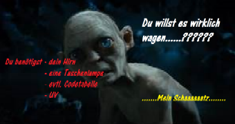 Der Schatz der Michelfelder