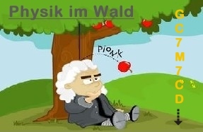 Physik im Wald