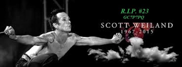 R.I.P. #23 -- Scott Weiland