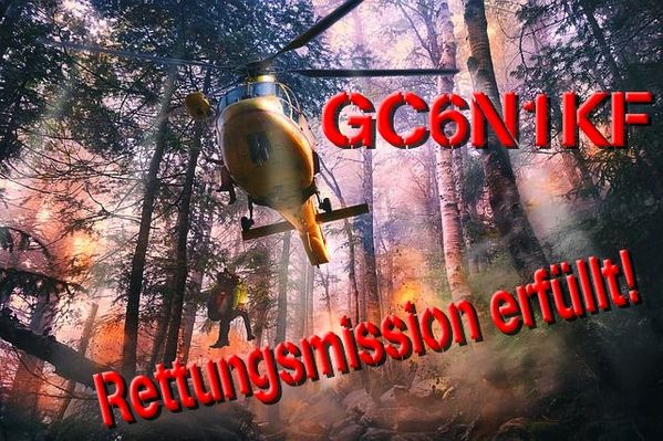 Hilfe im Wald BONUS