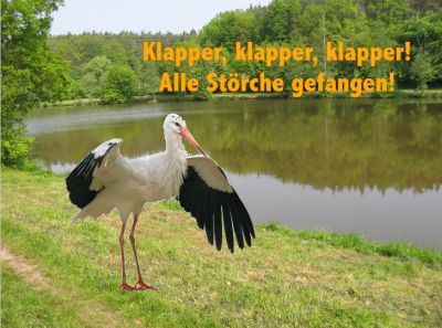 Der Storch #01