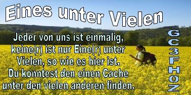 "Eines" unter "vielen"