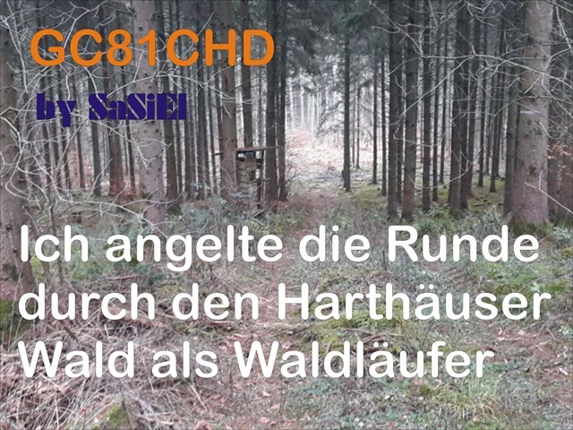 Waldläufer #Finale