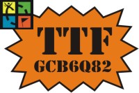 GCB6Q82